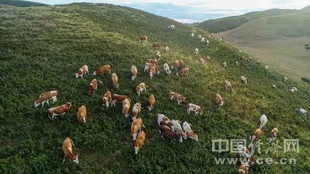 “带着牧民去找致富路”