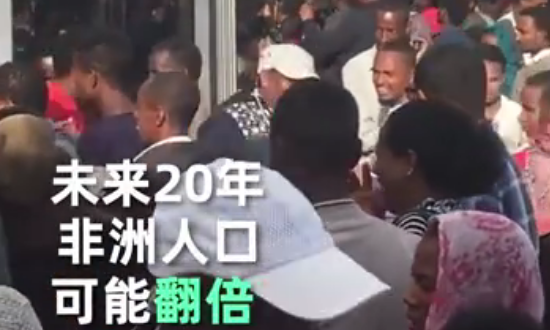 全球人口将达80亿 2019年世界人口总数统计数据