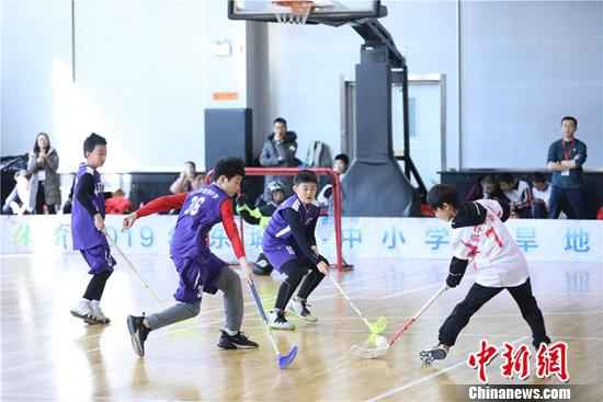 比赛现场。供图 北京东城中小学生比拼旱地冰球 200余人参赛