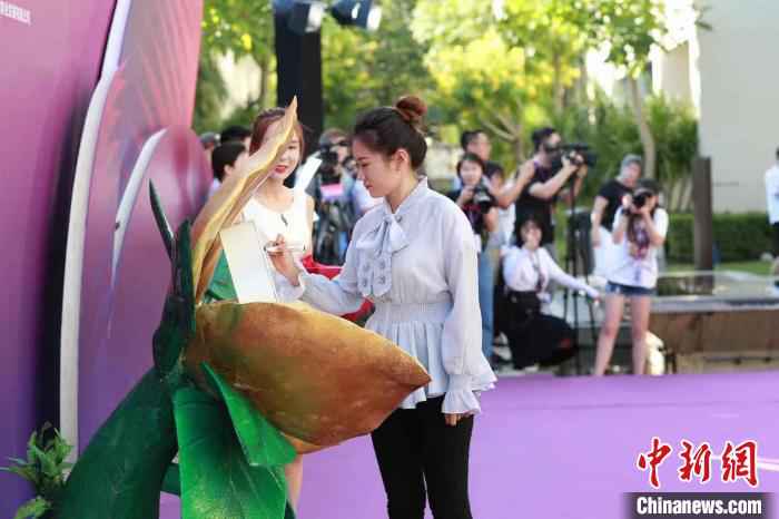 走红毯仪式——卫冕冠军、世界排名第一的韩雨。 2019世界女子9球锦标赛开幕 韩雨冲击四冠王