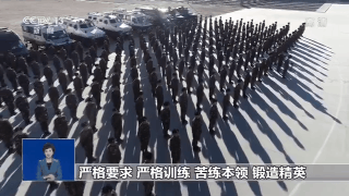 新年开训!龙腾虎跃练精兵
