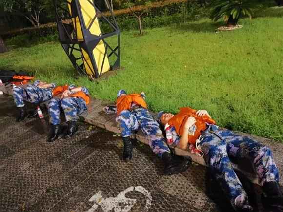 2019,这些画面让我们热泪盈眶