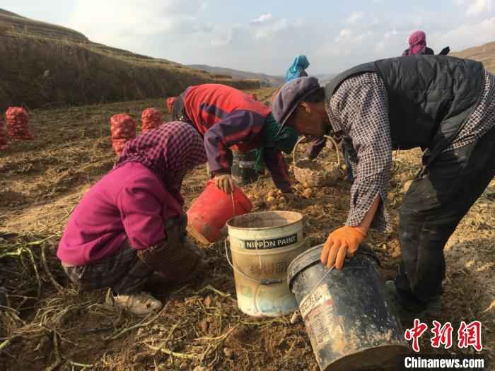 甘肃定西脱贫“扬长不避短”：纾困“先天不足