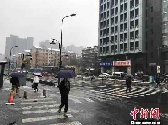 资料图:1月25日,杭州城区,行人正在通过斑马线。 张斌 摄 后排乘客不系安全带要吃罚单!网友:我就没找