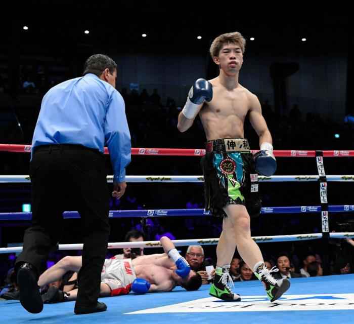 乌兰被对手KO现场。M23战队供图 WBO蝇量级拳王挑战赛 中国拳手乌兰遭KO无缘金腰