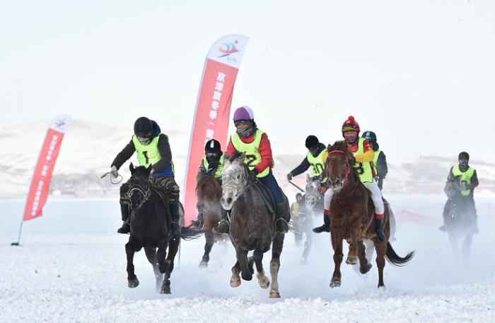 选手在比赛中。供图 马术与雪上运动相结合?这项赛事很新奇