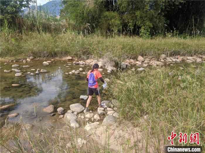 图为选手准备涉水前行。 凌楠 摄 中国定向公开赛海南昌江站开跑 上千人打卡热带