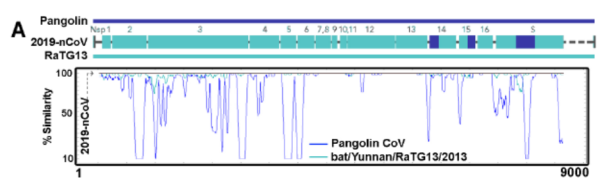 中疾控等研究揭新冠病毒演变：如何显著增强传