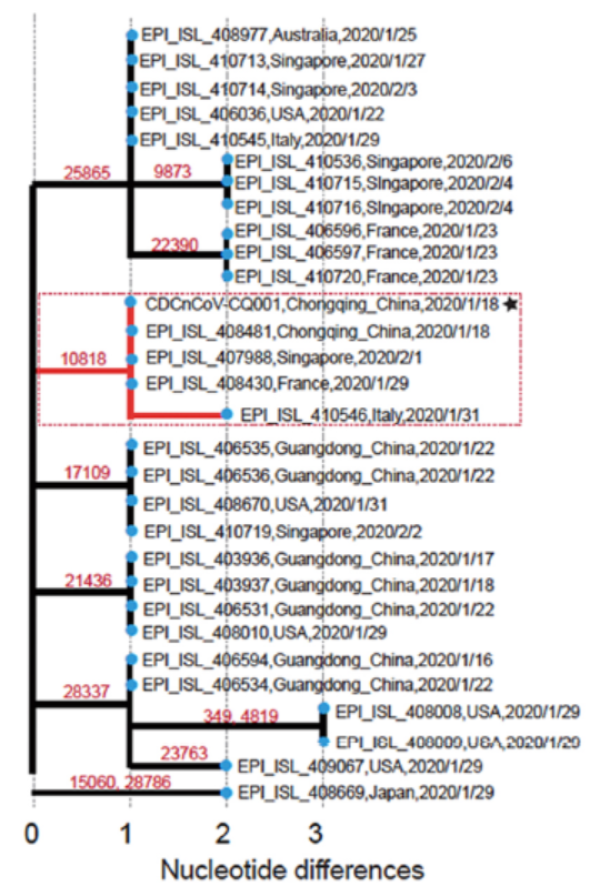 中疾控等研究揭新冠病毒演变：如何显著增强传