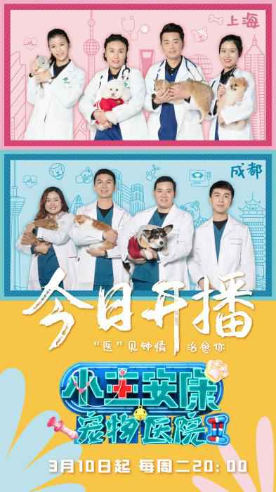 节目海报 仓鼠骨折如何救治?这档真人秀讲述宠物医院故