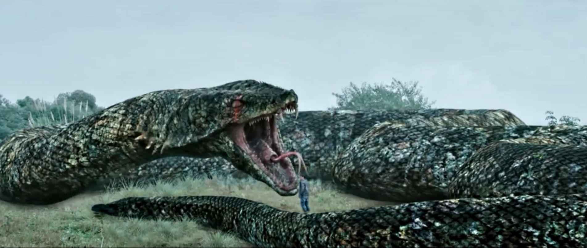 疫情中的网络院线,能否缓解片方资金链紧张