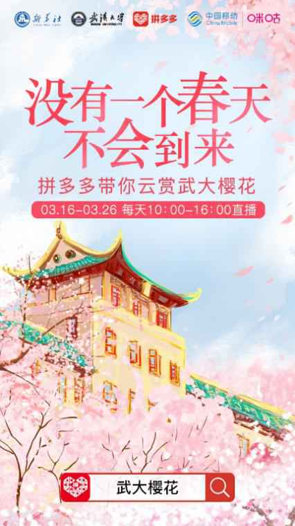 拼多多APP直播武大樱花：每天6个小时，连续11天