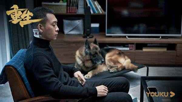 剧照 网剧《重生》独立案件烧脑 人际关系等话题引热