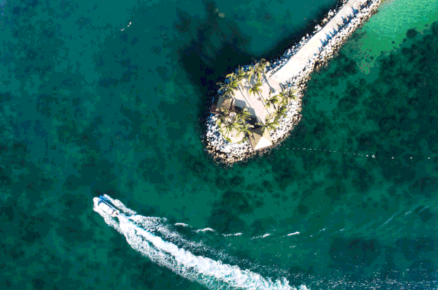 太硬核!喊上陈学东,抖音把直播这盘棋下到了