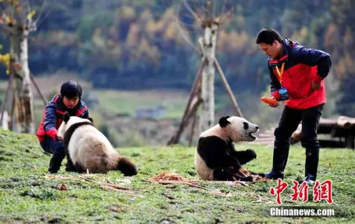 汶川地震十二年:遥忆悲伤 珍重当下