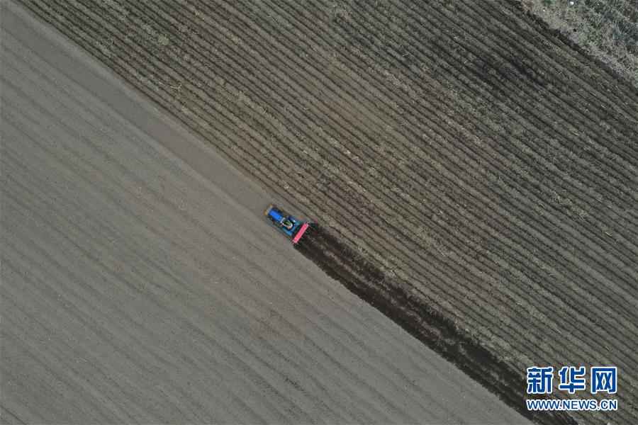 从全国两会看“六稳”“六保”如何发力