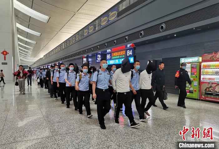 蓝皮书:危险驾驶罪成去年上半年全国审理最多