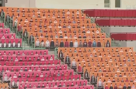 视频资料截图。 随着复赛,一堆奇奇怪怪的东西涌进了赛场……