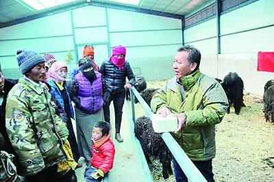 “牦牛专家”巴桑旺堆：把论文写在高原大地