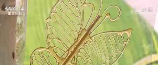 端午假期各地旅游出行秩序井然