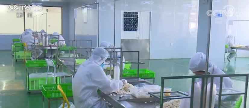 中西部28661个扶贫龙头企业复工率98% 吸纳贫困人