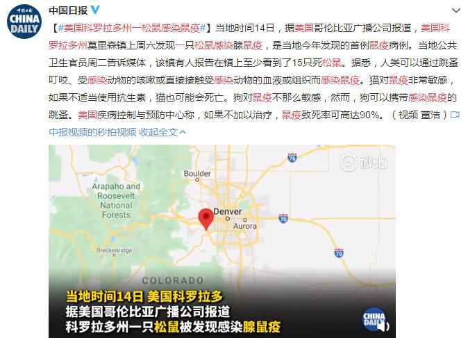 美国科罗拉多州一松鼠感染鼠疫 报告称看到至少
