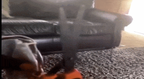 美国民众怀疑口罩鼻梁条是5G天线 会跟踪还会致