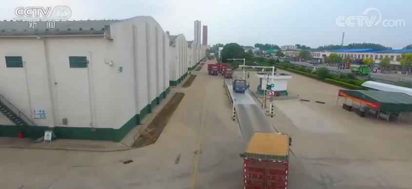 各大主产区加大收购力度 累计收购夏粮3432.9万吨