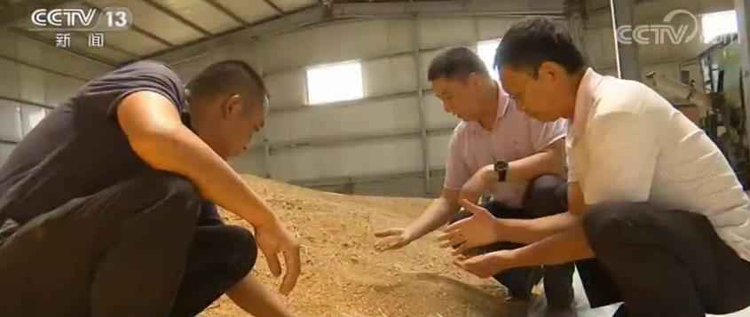 确保储粮安全度夏和粮库防汛不出问题 各地采取
