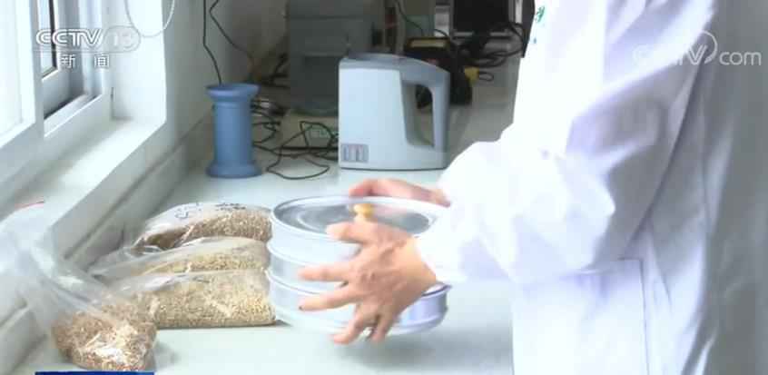 确保储粮安全度夏和粮库防汛不出问题 各地采取