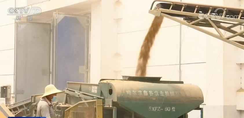 确保储粮安全度夏和粮库防汛不出问题 各地采取