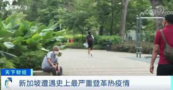 已超2万例！ 新加坡遇史上最严重登革热疫情