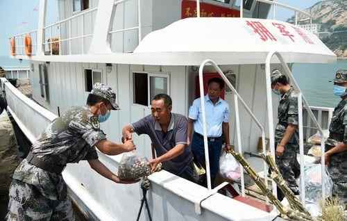 一座“四无”岛 五代“拥军船”