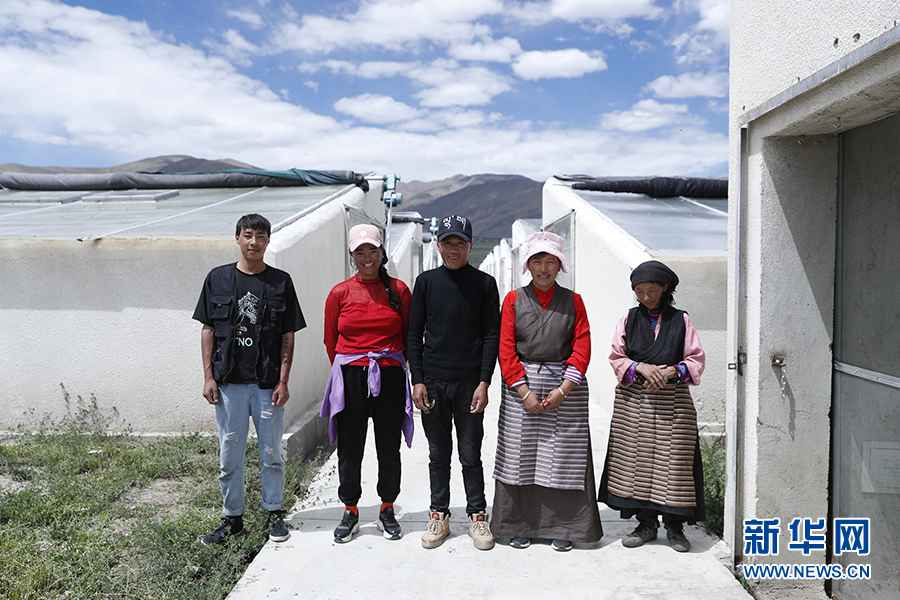 【幸福花开新边疆】隆子县的“格桑”花