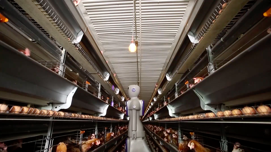 中国大陆“0001号”外企:始终看好中国经济