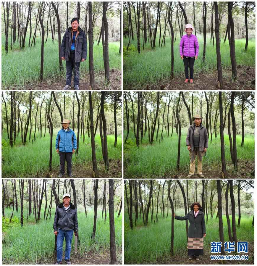 西藏自治区决战脱贫攻坚纪实