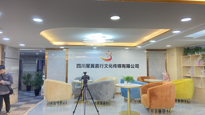 挂靠|加盟|自主运营