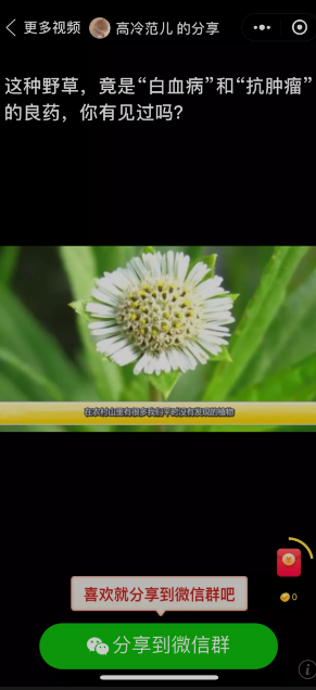 力哥分享：弄懂这3种低调赚钱的的小程序，你也