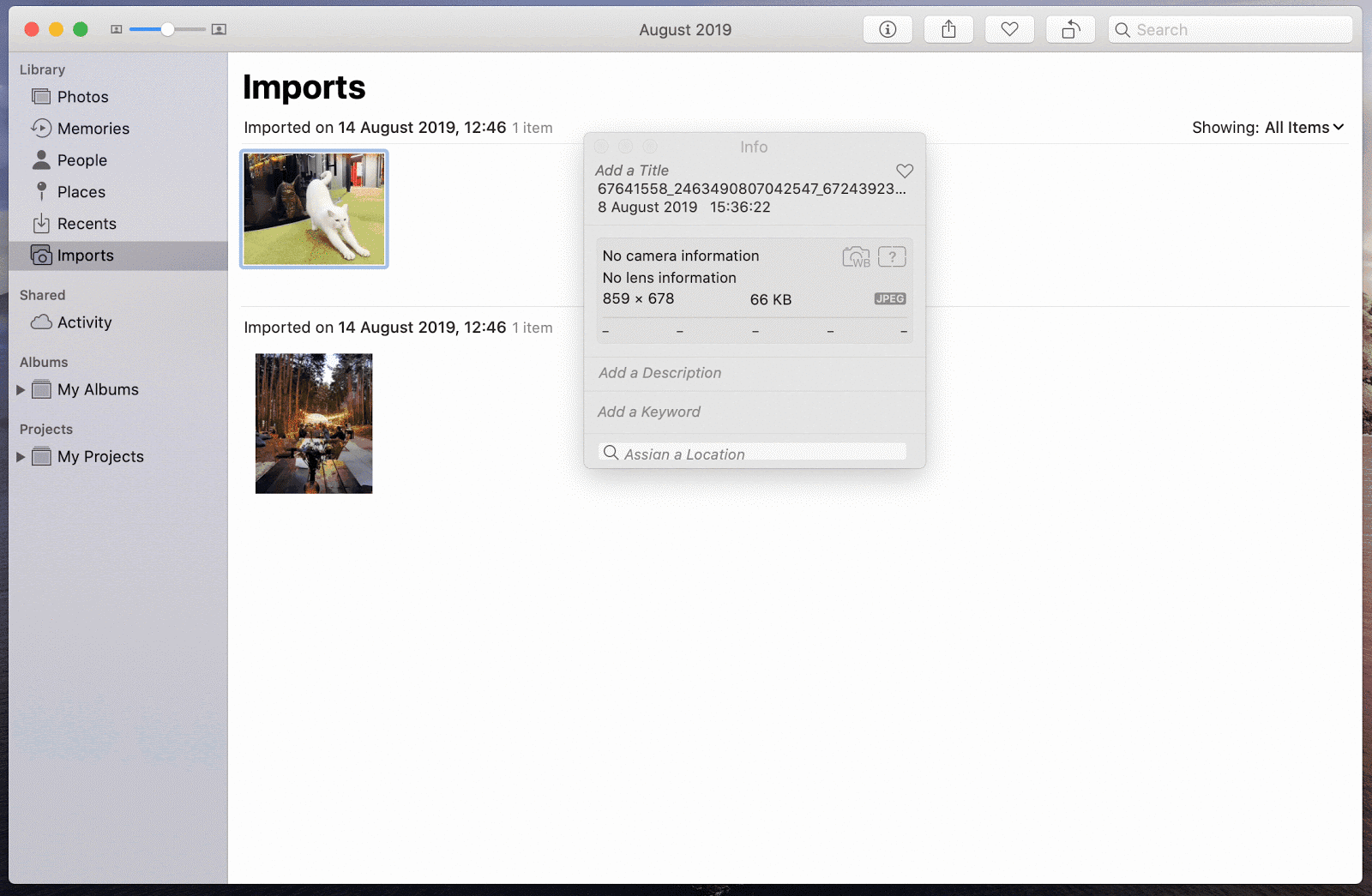 图像元数据编辑软件：MetaImage使用流程讲解