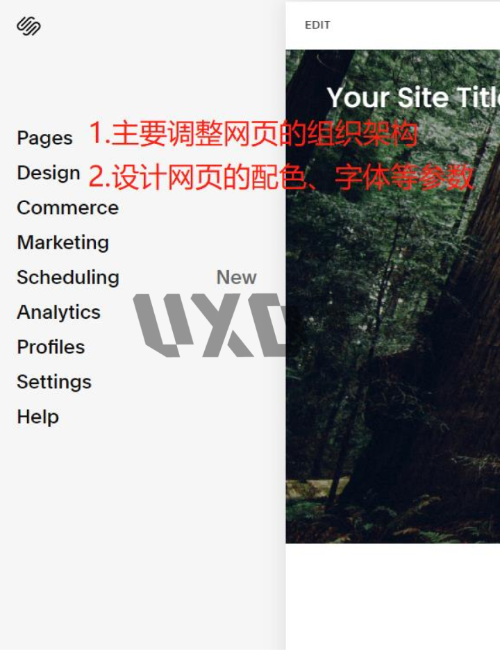 UXD带你全面解锁Squarespace,经过实测这是最好用的