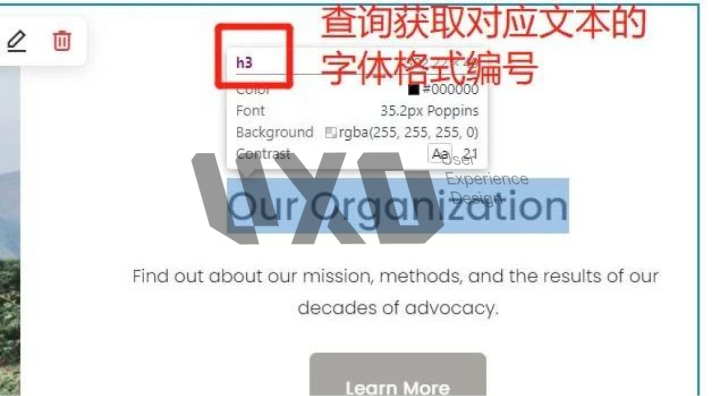 UXD带你全面解锁Squarespace,经过实测这是最好用的