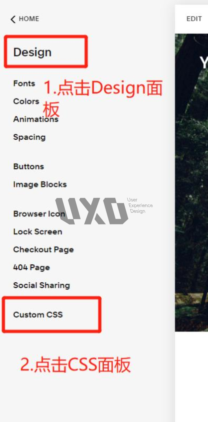UXD带你全面解锁Squarespace,经过实测这是最好用的