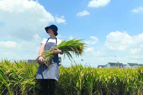 晨读 | “大米西施”