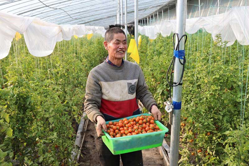 村里年年换新貌，日子越过越红火--经济·科技