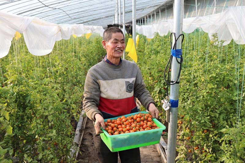 村里年年换新貌，日子越过越红火--经济·科技